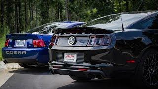 2003 SVT Cobra and 2014 Shelby GT500 Cinematic Shots, Revs, Supercharger Whine, and Fly bys