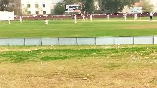 serene In National T-20 cricket burewala/Muhammad Imran