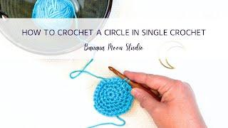 How to Crochet a Circle in Single Crochet