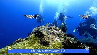 보라카이 호핑투어 프리다이빙 스노클링 스킨다이빙 boracay hopping freediving boracayfreedive boracayfreediving