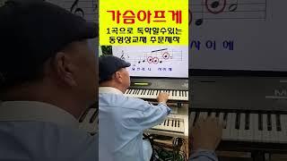 김동환전자올겐/#shorts 1곡으로초급~고급(동영상)010-2448-2771
