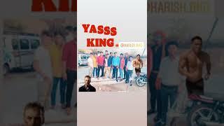 king Bkd