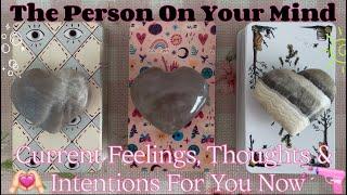 Your Person's Current Feelings, Thoughts & Intentions For You Timeless pick a card love