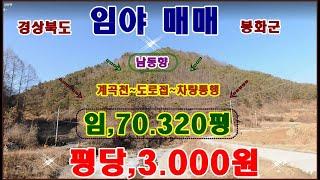 물번,455번) 임야,70.320평 계획,농림.생산관리.평당,3.000원  도로접,전기, 차량통행됩니다 아스콘포장도로 남동향, 앞에는 넓은 토일천~ 홍수관리구역,매가,2억1.090