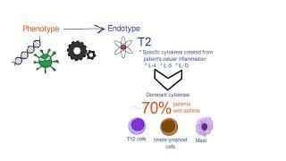 New Concepts in the Pathobiology of Asthma