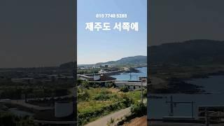 제주도 서쪽에 골때리는 공인중개사