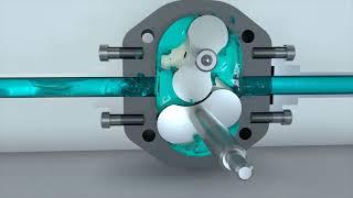 How A Rotary Lobe Pump Works