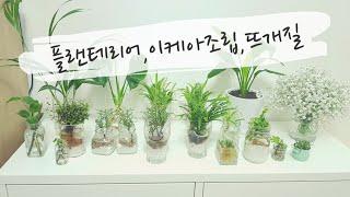 베란다정원, 이케아가구 조립하기:Home Garden, IKEA Furniture Assembly