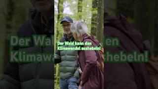  Kaum zu glauben: Nur 30 km² Urwald in Deutschland übrig!