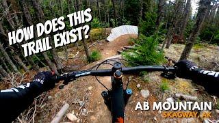 Best MTB Trail In Alaska? | AB Mountain Downhill | Skagway, AK Full Tour & Review 4K