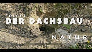 Natur endecken - Folge 1 - Der Dachsbau