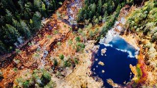 Restaurering av myr i naturreservat