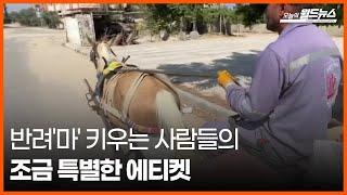 [30초 월드] 반려'마' 키우는 사람들의 조금 특별한 에티켓 / OBS 오늘의 월드뉴스