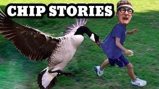 Funny Chip Stories (YMCA Kittens, Goose Chase, 71 Yr Old Teacher, Llamar’s Shoo Fly Pie, Mother)