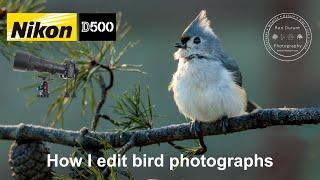 How I like to Develop a Bird Photograph using Lightroom and Photoshop