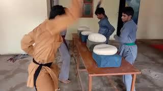 Shaolin y wudang kungfu in india kungfu training