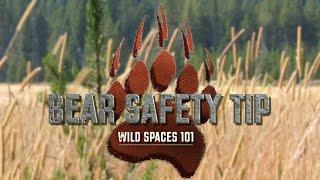 Bear Safety Tip: Wild Spaces 101