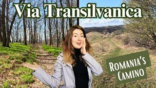 Hiking Alone on Via Transilvanica - Biertan to Richis | Transylvania, Romania