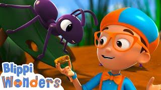 Blippi meets Anita the Ant ! | Blippi Wonders Educational Videos for Kids