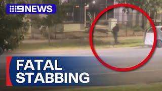 Young man fatally stabbed in alleged gang attack | 9 News Australia