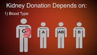 Kidney Donation And Transplant Requirements | Piedmont Healthcare