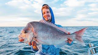 The Secret to Catching Snapper!  A Guide to Snapper Fishing