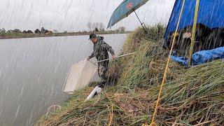 Whitebait VLOG 8 -  Catching Shoals in The Rain - Best Day Ever!