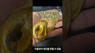 티끌모아 태산이 될 수 있다!