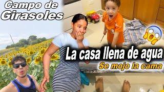 SE LLENO LA CASA DE AGUA! ! / la cama  la terraza / michael se entra en un campo de girasoles