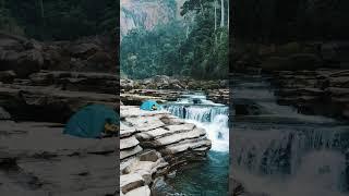 Camping with Nature  #shortsvideo #shorts