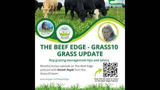 March Grass Management Tips