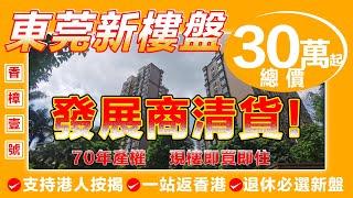 大灣區東莞樟木頭火車站 | 工薪族也可以系大陸按揭分期買樓 | 新樓盤香樟一號香樟壹號總價 | 30萬起買新樓 | 小區就係天一城大潤髮商超，近兩大商超 | 近火車站，近市中心物業，現樓發售送精裝