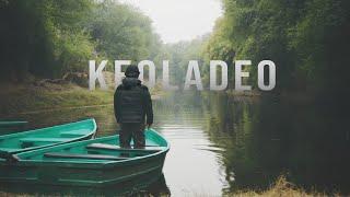 KEOLADEO NATIONAL PARK | Cinematic | Bharatpur Bird Sanctuary Rajasthan