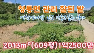 @no.626영천 청통면 사일온천 경마장 부근 054 335 0605