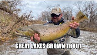 Great Lakes Brown Trout Trip