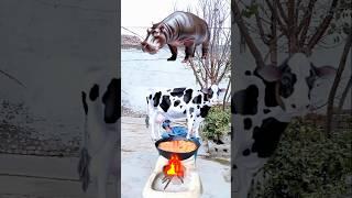 Always Cooked Halal Animals #youtubevideo #shorts #trending