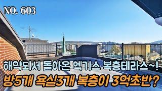 인천복층빌라 해약되서 돌아온 엑기스 남향 복층테라스~!! 방5개 욕실3개 복층이 3억 초반대?! 이번 기회 놓치시면 다시 안올 가격!!