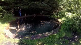 Torwood Castle and Blue Pool