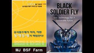 동애등에 사육 / Black Soldier Fly / BSF