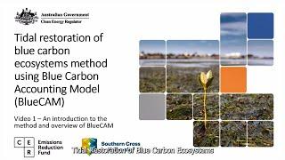 An introduction to the blue carbon method