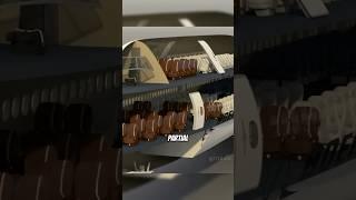 The Flying Giant: Inside the Boeing 747 Jumbo Jet