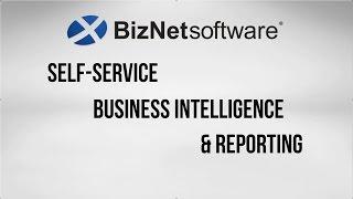 BizNet Software: Self-service BI & Reporting