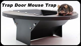 The TRAP Door Mouse Trap Makes Mice Disappear. A Great New Design. Mousetrap Monday.