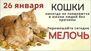 26 января день Еремы. Его лучше провести в тепле, и беззаботности, чтобы не болеть весь год