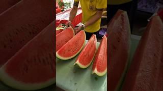 Cutting the largest giant watermelon in Taiwan!