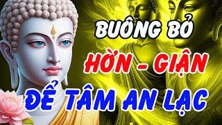 Phật Dạy: Sống Không Giận, Không Hờn, Không Trách – Bí Mật Đưa Tâm Đến An Lạc, Đời Hạnh Phúc