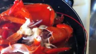 Delicious Lobster Stock.Chef celly makes delicious Broth