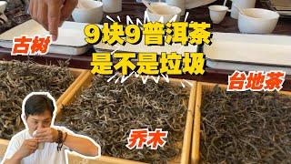 9块9的普洱茶是不是垃圾？这次老高给你答案，专门挑选三种茶进行比较！#普洱茶 #茶文化 #老班章 #古树茶