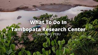 What to do in Tambopata Research Center - Tambopata National Reserve | AMAZON - PERU