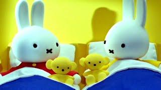 Miffy's Und Aggie's Teddybären | Miffy | Zusammenstellung